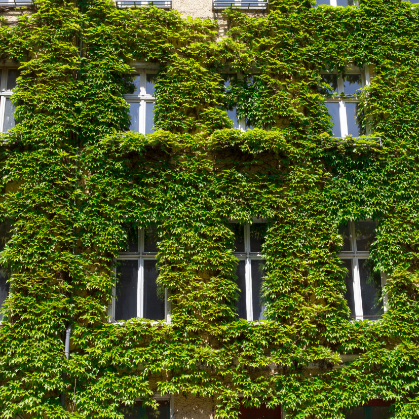 Nachhaltigkeit bei Holz-Alu Fenstern